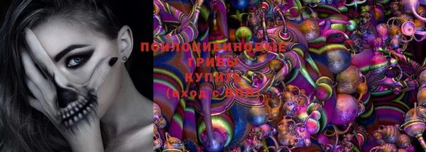 мяу мяу мука Алексин
