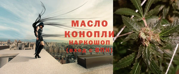 соль ск Абаза