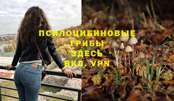 мет Кукмор