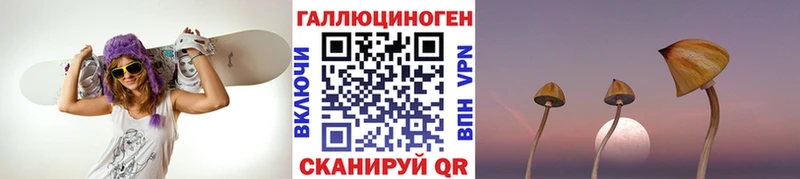 Галлюциногенные грибы Cubensis ОМГ ОМГ Тольятти